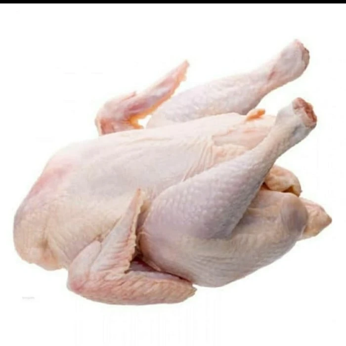 Ayam Broiler 0.6-0.7 kg